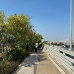 S__6635574-22_35_0-medium