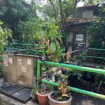 image-11_21_46-medium